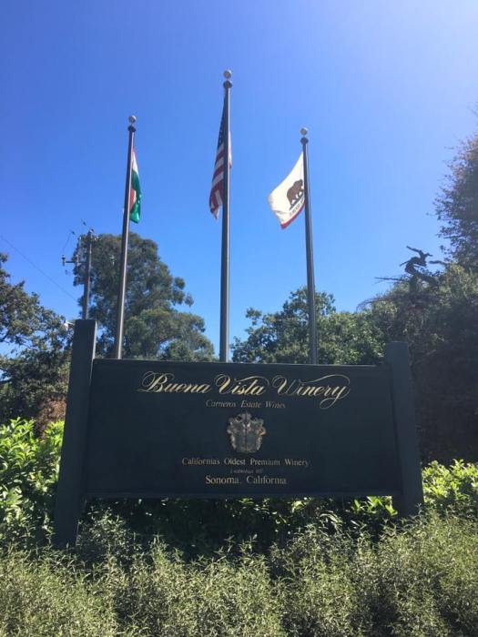 13726799_10154415888744433_8086716910360507661_n